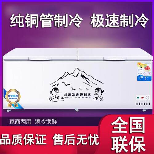 晟朗商用大容量全冷冻卧式冰柜超市冷藏冷冻卧式冰柜铜管制冷冷柜