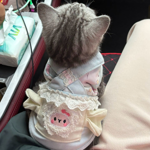 彩色可爱背带裙小型幼犬小狗狗薄款超萌宠物狗可爱猫咪连衣裙衣服