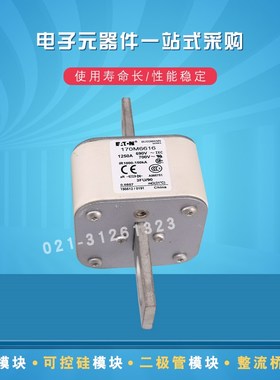 现货170M6616 6617 6618 6619 6620 6621 6629快速熔断器保险丝