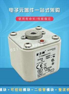 快速熔断器保险丝170M4411 4412 4413 4414 4415 4416 4417  4418