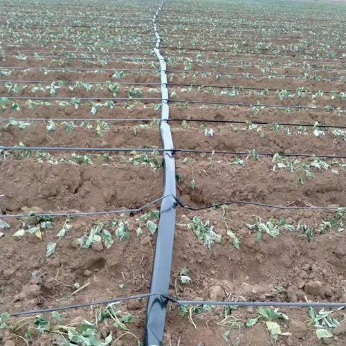 新款产N16迷宫带农用滴灌带大棚蔬菜膜下滴管果园绿化滴水管节款