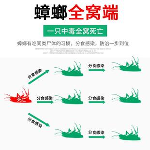 端神器通杀强力灭除杀蟑胶饵剂 蟑螂药家用非无毒全窝一锅正品