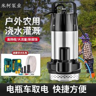 电瓶车专用直流潜水泵12V48V60V72V农用灌溉浇地大流量抽水神器