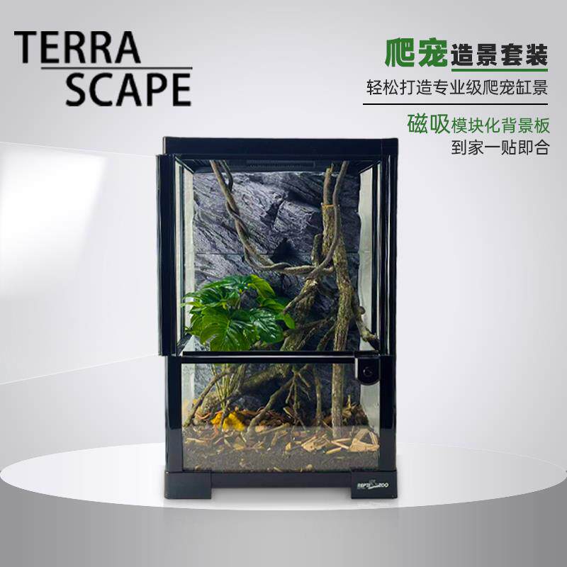 爬宠雨林岩石风30609120缸安乐蜥蜴睫角守宫造景3d立体背景板套装