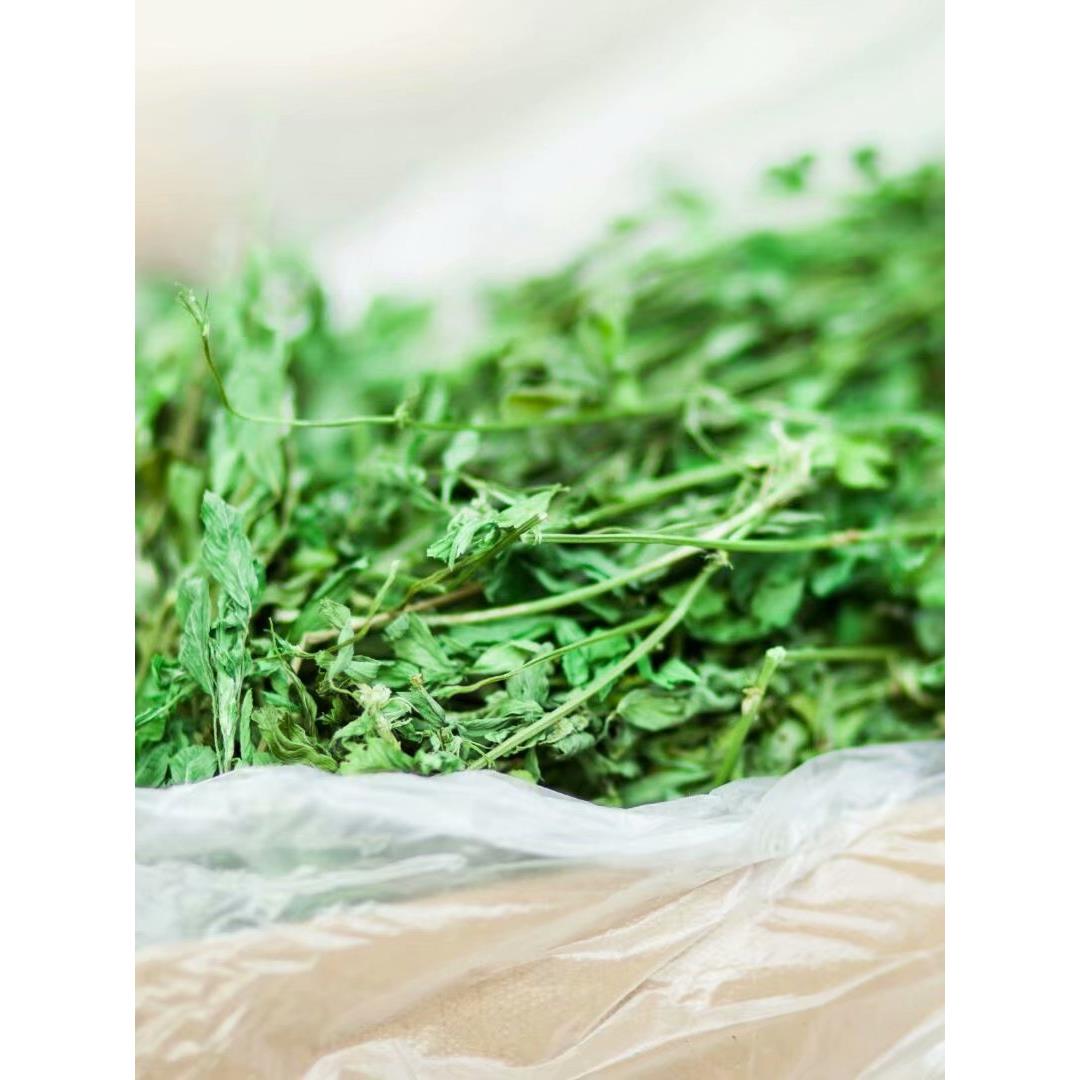 紫花苜蓿草烤草兔栗鼠饲料干草宠物干牧场1000克幼兔新鲜兔粮