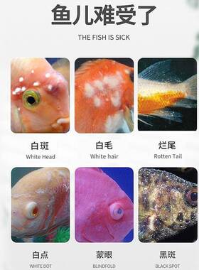 水药霉克星白点鱼金净鱼专治观赏小瓜虫默认AKIM长白毛鱼鱼缸鱼塘