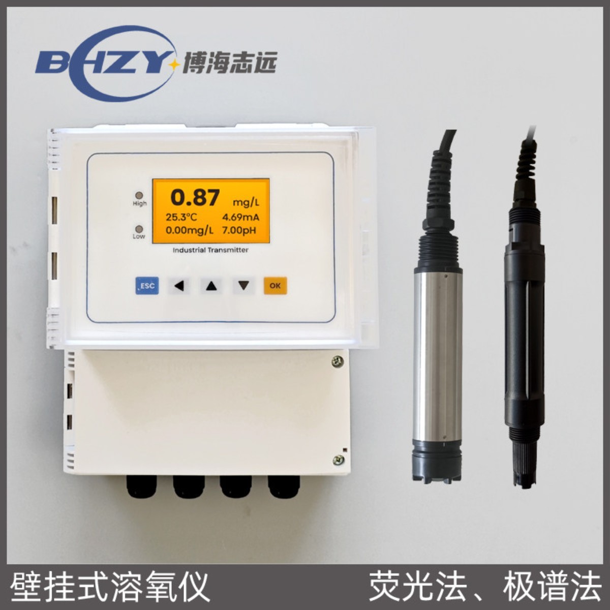 工业在线壁挂式荧光溶氧仪溶解氧测试仪DO变送器增氧机控制器