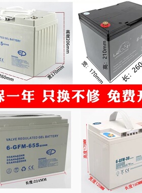 电动叉车电池蓄电池中力合力12V30A65A85A搬运车配件电瓶