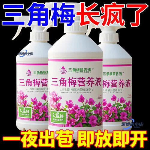 三角梅开花专用营养液肥促花爆花骨粉复合肥料养花枝繁叶茂促开花