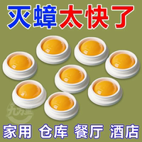 強(qiáng)效蟑螂方便貼【蟲(chóng)卵全端】