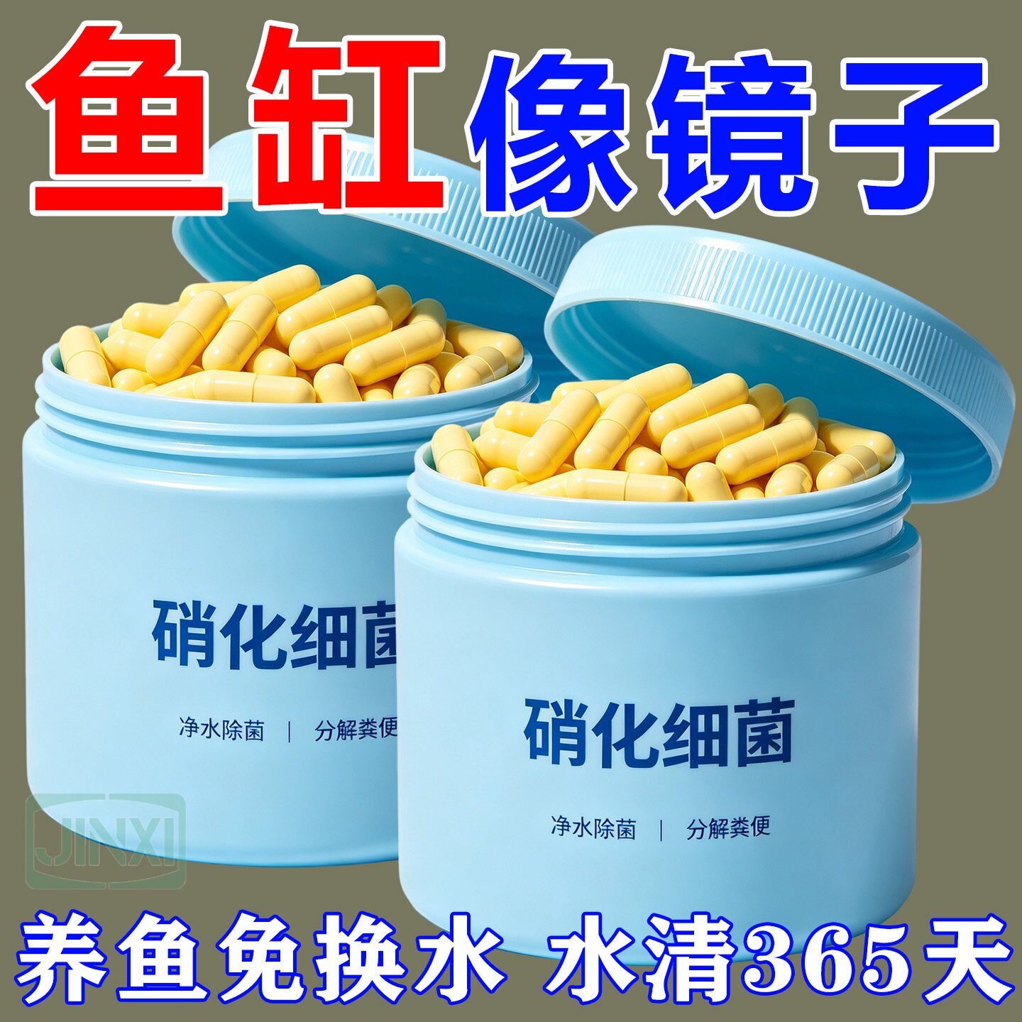 强效净水分解鱼粪鱼缸免打理