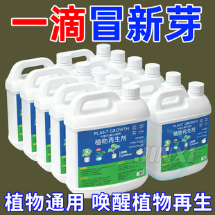 植物再生剂通用型植物复活营养液绿植盆栽花卉发黄花盆水溶肥料