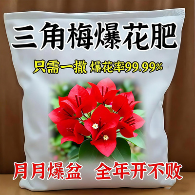 三角梅专用开花粉促芽剂催光杆发芽治黄叶落叶枯萎壮根助生长肥料