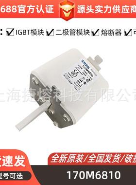 170M6810 170M6811 快速熔断器 保险丝 电子元器件 量大价优