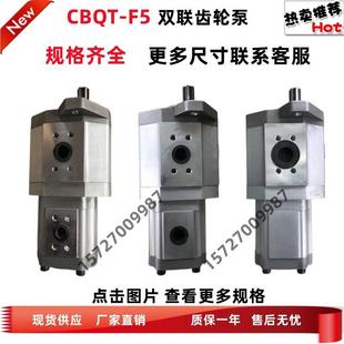 双联齿轮泵 CBQT