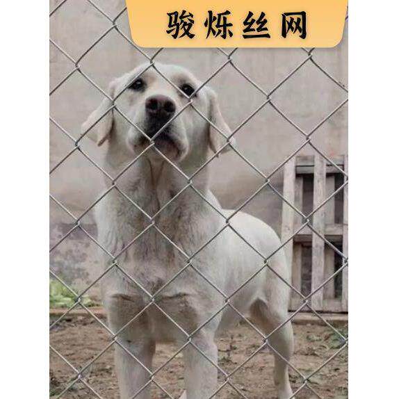热镀锌养鸡鸭铁丝勾花网家用菱形网果园围栏鱼塘鱼塘防护网养殖网