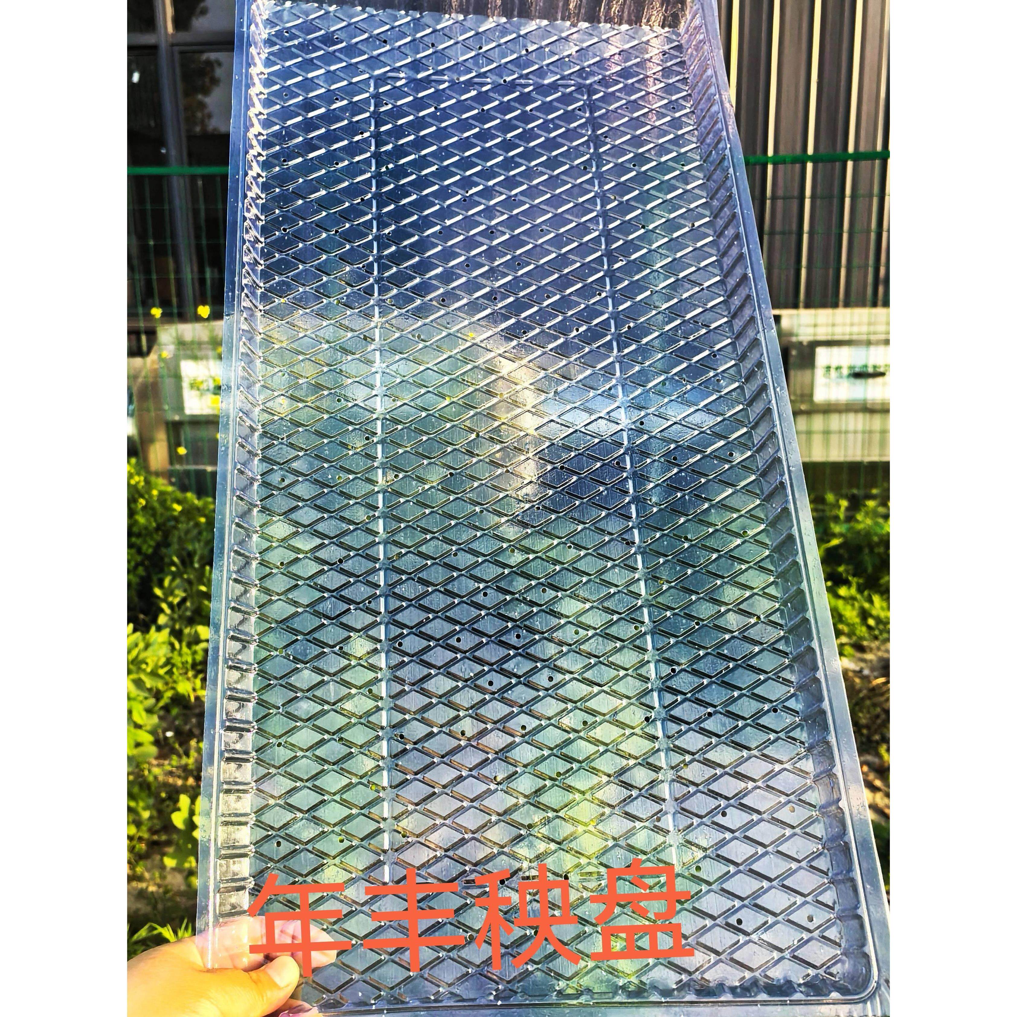 抛秧盘机插菱形平盘早稻水稻育苗盘软盘水稻培养苗盆机插秧盘托盘