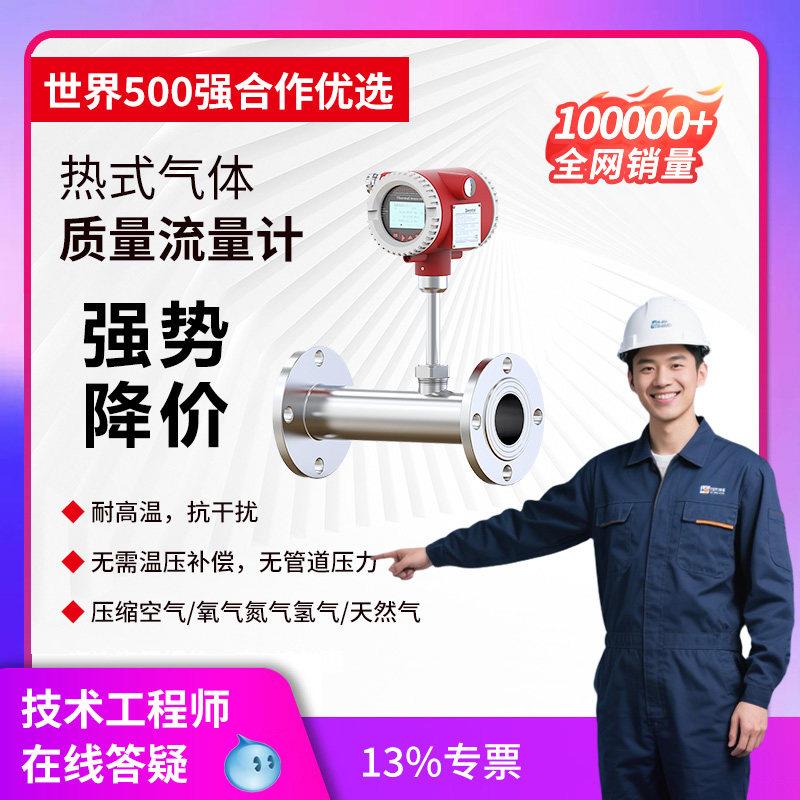 热式气体质量流量计压缩空气流量计管道高温插入式进口气体流量计
