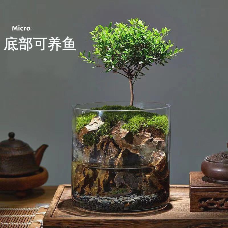 创意桌面苔藓生态瓶微景观生日礼物男生缸免打理办公室斗鱼雨林