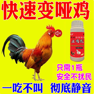 防止鸡打鸣药公鸡不乱叫专用药预防鸡鸭鹅打鸣防止打架饲料添加剂