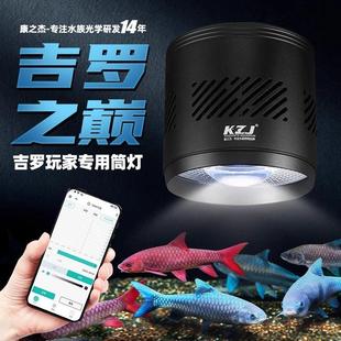 康之杰鱼缸灯发色灯爆澡增艳溪流灯吉罗之巅原生溪流缸灯吉罗鱼灯
