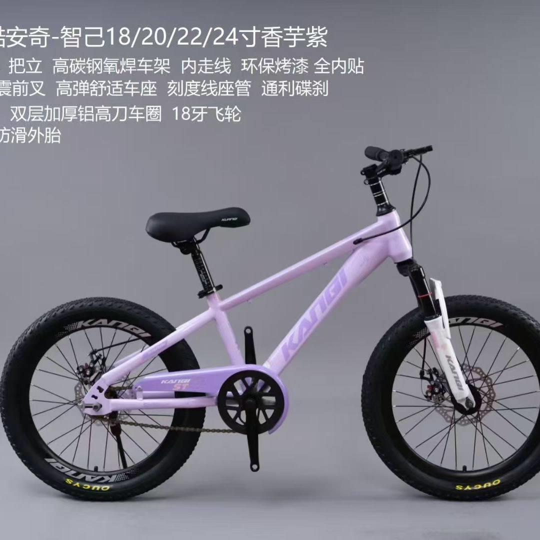 青少年碳钢山地自行车碟刹减震前叉铝合金轮圈单车
