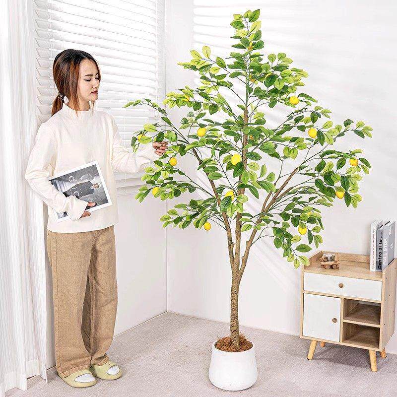 彷真绿色植物柠檬树盆栽客厅大型室内落地摆件水果树彷生假绿植装