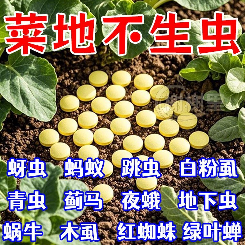 【一片全灭】百亩蔬菜地防虫片菜地花卉小黑飞白粉虱蚜虫菜蛾通杀