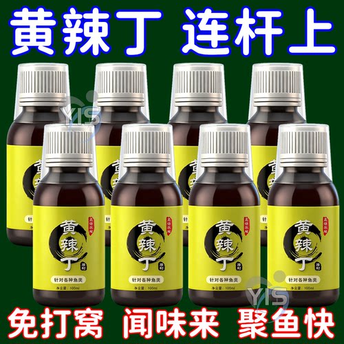 正品高浓度黄辣丁专用钓鱼小药