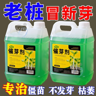 老桩催芽剂花卉营养液促芽僵苗快速发新芽防黄叶生根催芽绿植通用