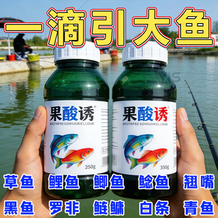 高浓度果酸千里香小药钓鱼诱鱼剂野钓鲤鱼鲫鱼专用开口剂饵料鱼饵