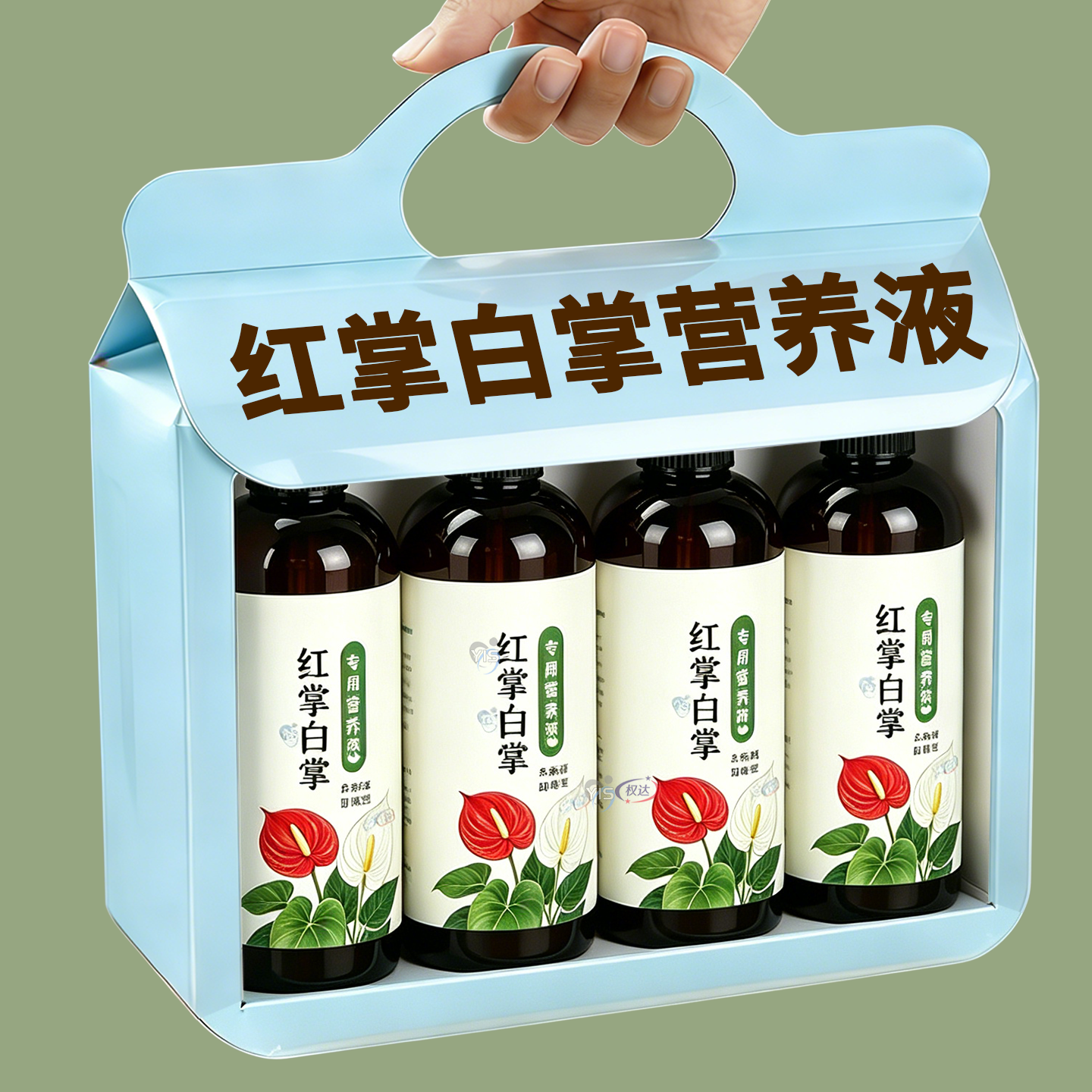 红掌白掌专用营养液促开花延花期壮根助生长抗病害免稀释液体肥料
