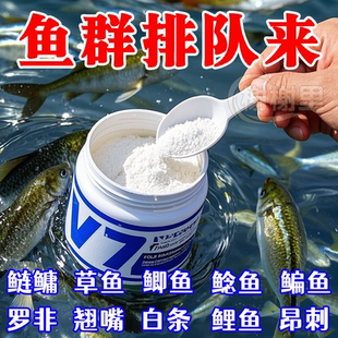 v7誘魚粉釣魚小藥誘魚劑開口果炫鯽魚鯉魚野釣高端正品 高濃度專用