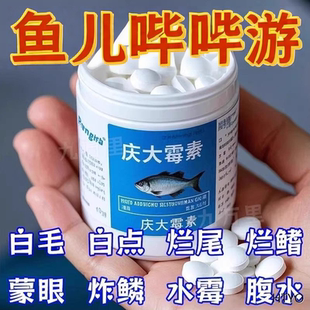 庆大霉素鱼用水族鱼药鱼病专用药抗生素烂身烂尾鱼塘专用疾病治疗