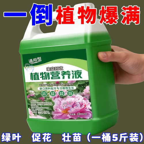 养分充足【强吸收】一倒绿叶壮根