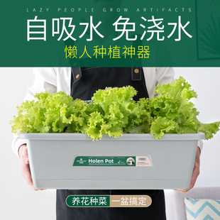 长方形花盆阳台种菜盆猪食槽种菜神器家庭种植箱塑料长条盆耐用厚