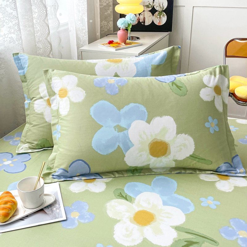 纯棉枕套一对装48x74乳胶枕头套全棉100枕芯套单个40x60儿童家用