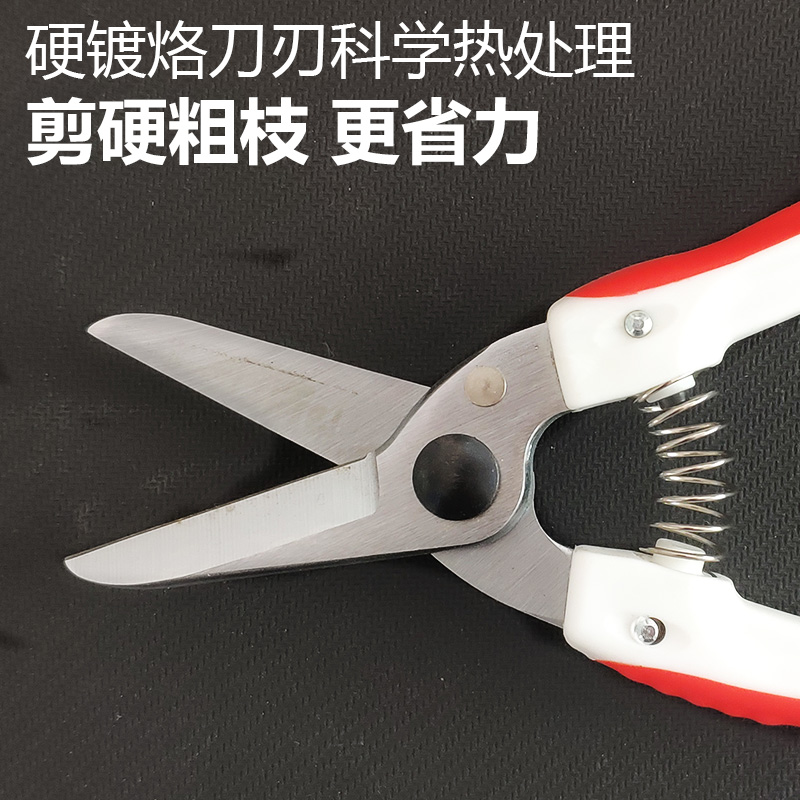 园林绿化修枝剪家用园艺果树嫁接修花枝不锈钢专用剪刀粗枝剪工具