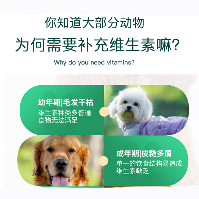 巴哥专用复合维生素片微量元素成幼犬维生素b狗狗营养品保健,宠物/宠物食品及用品,狗氨基酸/维生素/钙铁锌,淘宝优惠券,粉丝福利购,淘宝优惠卷