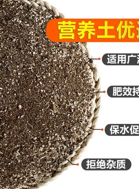 营养土花泥种植土花土家用多肉专用养花通用型种花30斤装泥土肥料