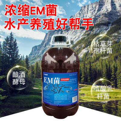 浓缩em菌原液水产养殖鱼虾蟹塘专用菌种益生菌调水肥水培藻肥水膏
