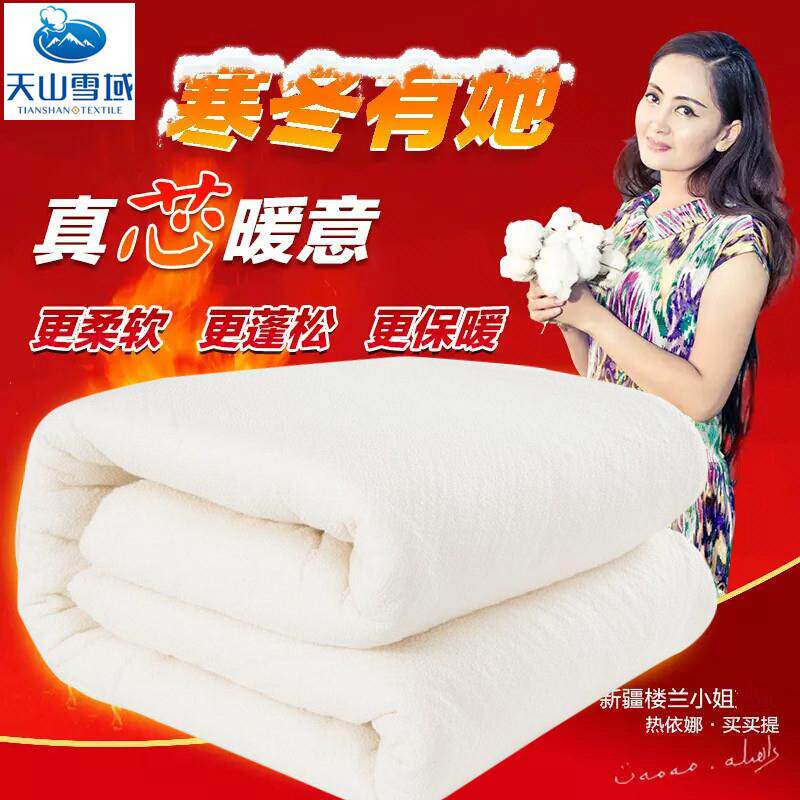 天山雪域长绒棉被胎新疆棉花被芯棉絮褥子有网棉被子冬被工厂店