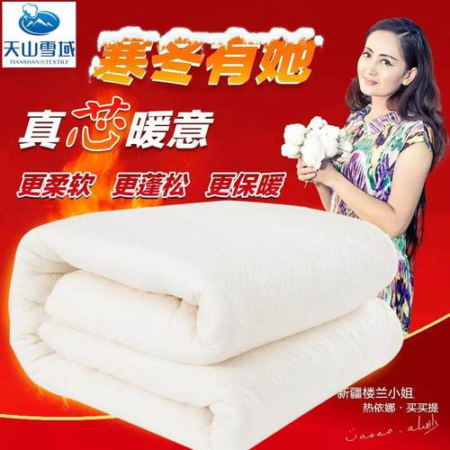 天山雪域长绒棉被胎新疆棉花被芯棉絮褥子有网棉被子冬被工厂店