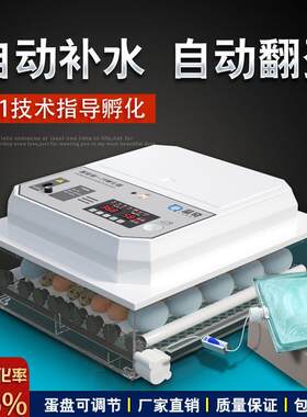 孵化器全自动智能一体款鸡蛋孵化机孵蛋器抱鸡机器