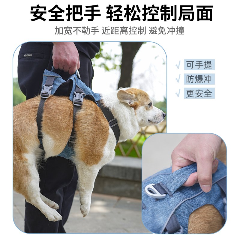 狗狗牵引绳背心式手提宠物胸背带大中小型犬金毛柯基外出遛狗专用
