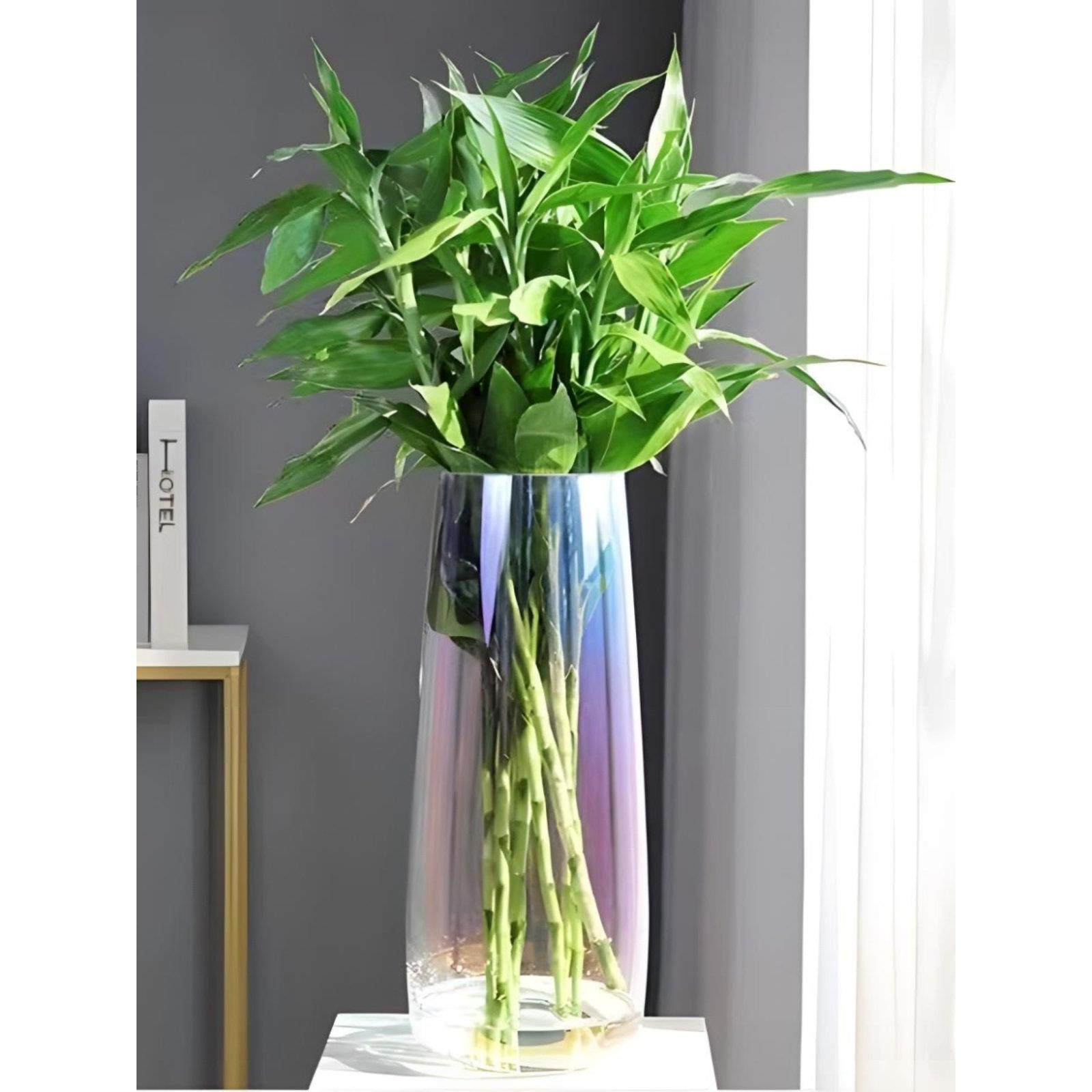 特大多色富贵竹专用|生活玻璃花瓶插花醒花养竹子水竹转运竹网红,鲜花速递/花卉仿真/绿植园艺,花瓶,淘宝优惠券,粉丝福利购,淘宝优惠卷