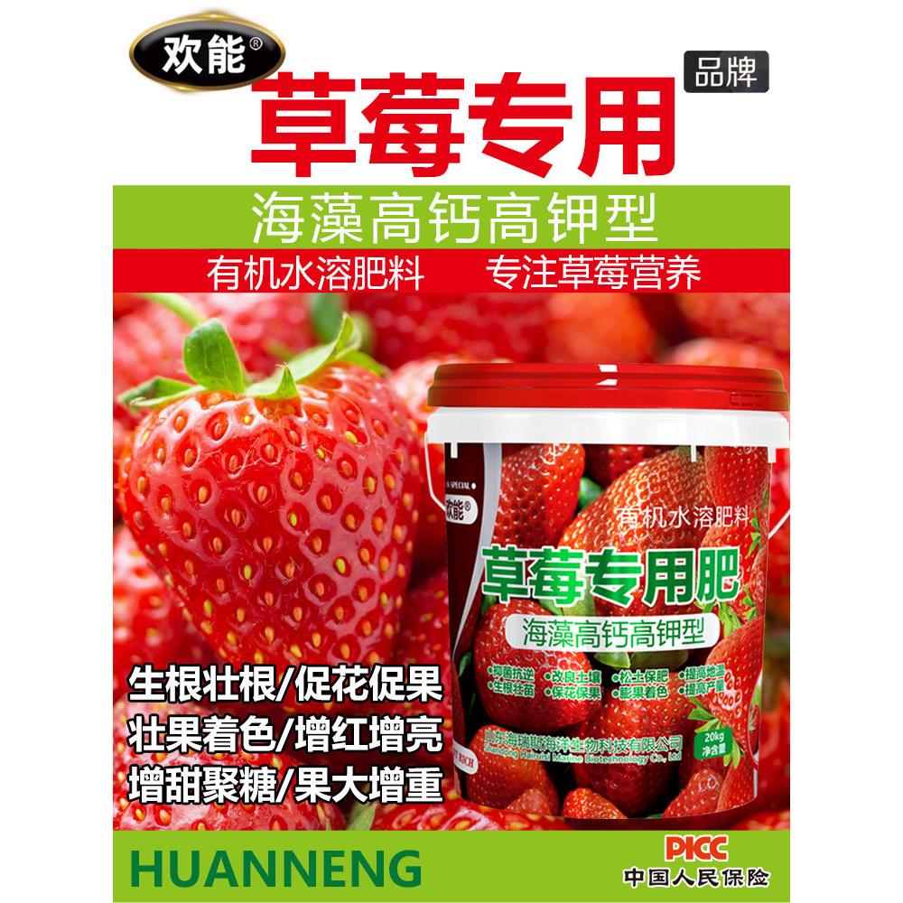 草莓专用水溶肥膨果着色冲施肥海藻高钙高钾膨大增产增甜桶装农肥