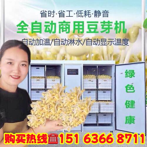 创业大型全自动商用家用豆芽机黄豆芽绿豆芽豆芽机农贸市场生意