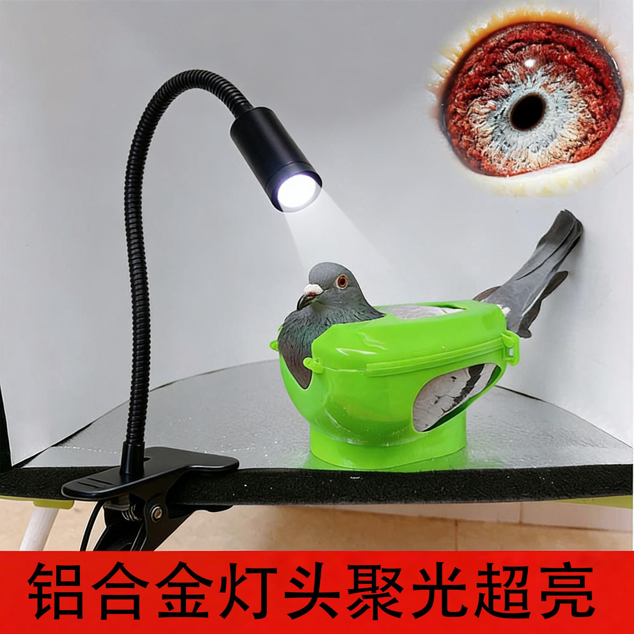 拍鸽眼灯LED小射灯鱼缸节能超亮聚光铝合金维修夹子台灯工作灯