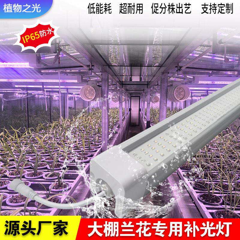 兰花补光灯防水大棚花卉全光谱LED兰草补光灯植物之光艺草专用灯